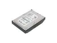 Lenovo - Kiintolevyasema - 500 GB - sisäinen - 3.5" - SATA 3Gb/s - 7200 kierrosta/min - puskuri: 8 Mt malleihin ThinkCentre M70; M72X; M75t Gen 2; M90; M910; V520-15; V530; V530-15; V530S-07; V55t-15 43R1990