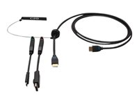 C2G 6ft (1.8m) 4K HDMI Premium Cable and Dongle Adapter Ring with Color Coded DisplayPort and USB-C - Videosovitinpakkaus - musta - kullatut liittimet, tuki 4K / 60 Hz, 4K 30 Hz:n tuki (DisplayPort) C2G30053