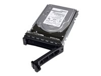 Dell - Asiakaspaketti - kiintolevyasema - 2 Tt - hot-swap - 3.5" - SATA 6Gb/s - 7200 kierrosta/min 400-BLLG