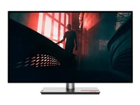 Lenovo ThinkVision P27h-30 - LED-näyttö - QHD - 27" 63A1GAT1EU