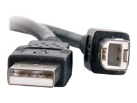 C2G 6.6ft USB A to USB B Cable - USB A to B Cable - USB 2.0 - Black - M/M - USB-kaapeli - USB (uros) to USB Type B (uros) - USB 2.0 - 2 m - musta 28102