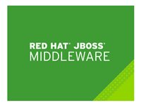 Red Hat JBoss Data Virtualization - Standarditilaus (1 vuosi) - 4 ydintä MW00143