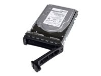 Dell - Kiintolevyasema - 12 Tt - hot-swap - 3.5" - SATA 6Gb/s - 7200 kierrosta/min malleihin PowerEdge T330 (3.5"), T430 (3.5"), T630 (3.5") 400-AUWK