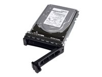 Dell - Kiintolevyasema - 8 Tt - hot-swap - 3.5" - SAS 12Gb/s - 7200 kierrosta/min malleihin PowerEdge R340, R6515, R6525, R660, R660xs, R6615, R6625, R760, R760xs, R7615, R7625 161-BBRX